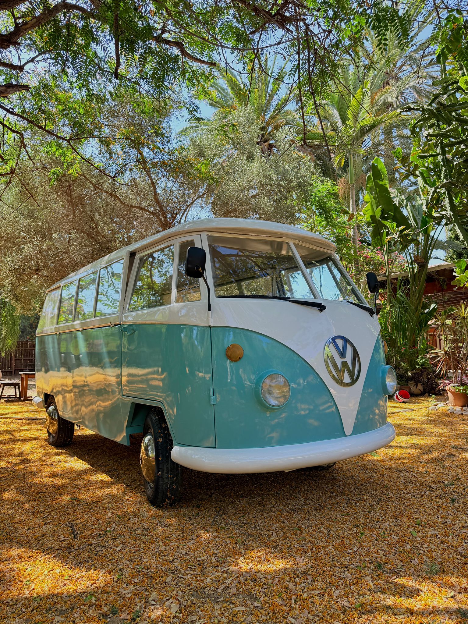 הפולקסווגן שלנו בסביבה טרופית