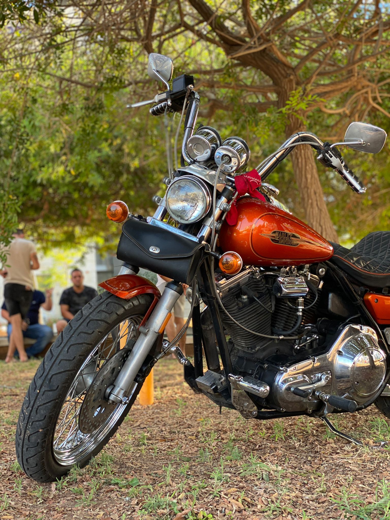 הארלי דיווידסון