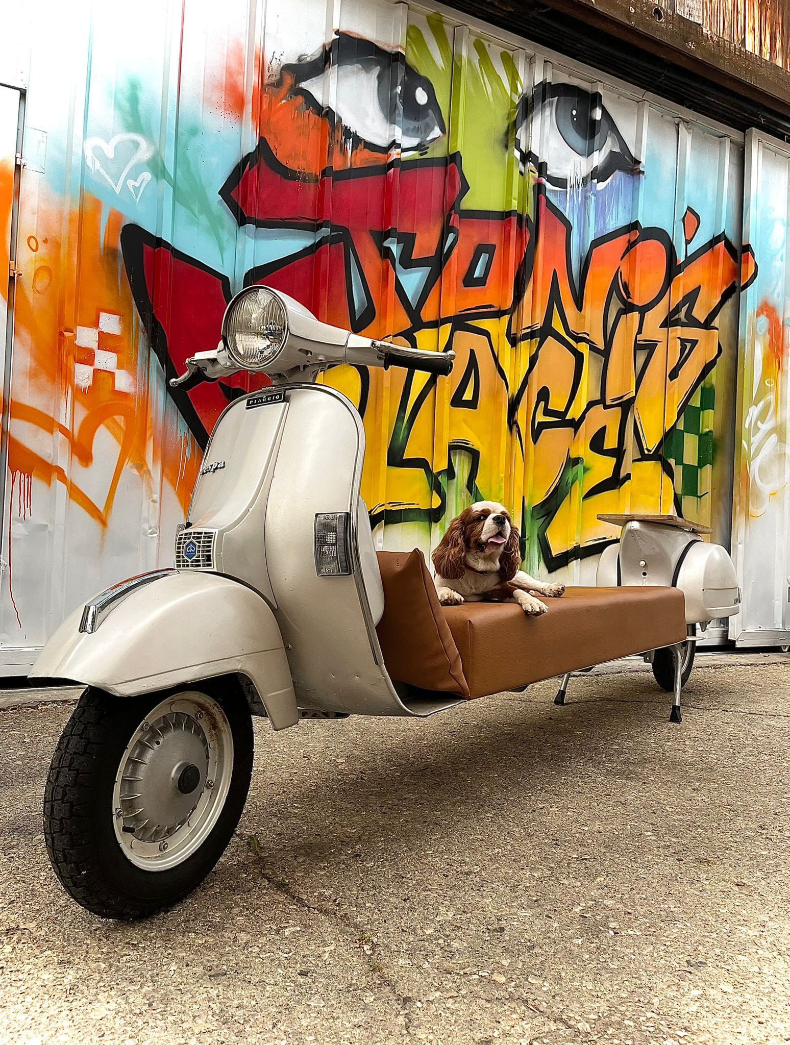 וספה לבנה עם סיידקאר וכלב